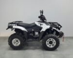 Квадроцикл Linhai LH300 ATV-3D PROMAX 300cc (4×4, EFI, CVT, Кардан) - Зображення 3