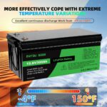 LiFePO4 48V/100AH Акумулятор Datouboss (5120W*h) для систем резервного живлення - Зображення 7