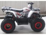 Квадроцикл FORTE ATV125 Hunter 125cc (Автомат, 4×2, Дитячий) - Зображення 3